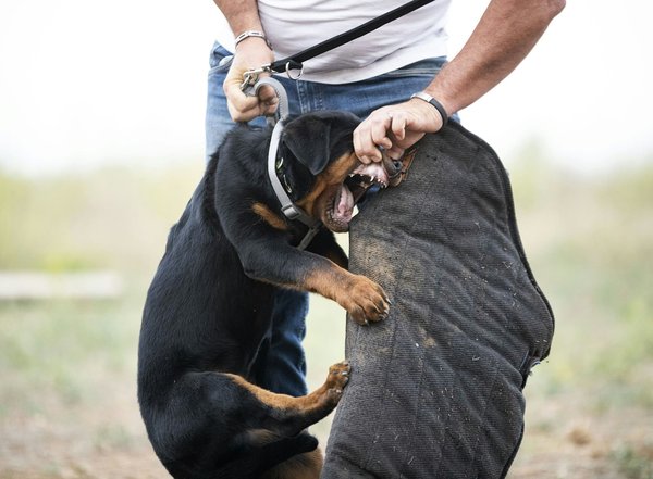 Serrurier le bourget-du-lac : sécurité et dépannage immédiat